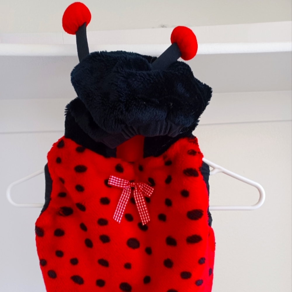 24 month LadyBug costume.